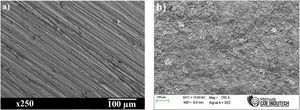 SEM micrographs of worn out surfaces: (a) EN 8 steel (b) YSZ-Al2O3 coated EN36C steel.