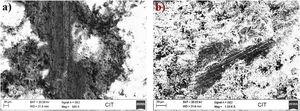 SEM micrographs of scratch tested (a) 50:50 YSZ-Al2O3 (b) 75:25 YSZ-Al2O3 deposited EN36C steel.