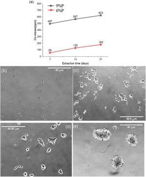 (a) Release of Ca ions from the 6%P and 9%P samples in cell culture media. The released Ca2+ affects the cellular morphology. The morphology of MG-63 cells as a control sample without extracted Ca2+ is observed (b) immediately after seeding in the culture plate, and (c) after 2h of incubation. This morphologic response is shown when the cells are incorporated and incubated by extracted solution from (d) the 6%P sample, and (e) the 9%P sample.