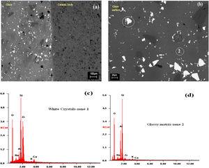 SEM images of the glaze–ceramic substrate interface for G17Z sample (a) glaze surface (b) and the EDX analyses of the white crystals (c) and, glassy matrix (d).