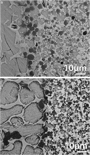Corrosion of a CaZrO3–MgO matrices fabricated from zircon and dolomite (Table 2). Micrographs of the polished cross section of the diffusion couple cement clinker (left)-matrix (right) after a static test at 1500°C during 1min. MgO (dark) and silica glass (light grey) are observed at the interface. Some small particles (CaZrO3 or ZrO2) are observed deeper in the matrix. FE-SEM back scattered images. (a) Material formulated according to Eq. (3). (b) Material formulated according to Eq. (4).