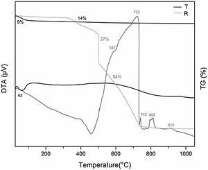 Differential thermal analysis and thermogravimetric analysis curves of R and T precursors.