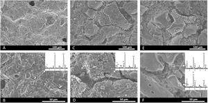 SEM-EDX images of the core (A, B), and scaffolds 3J (C, D) and 3S (E, F).