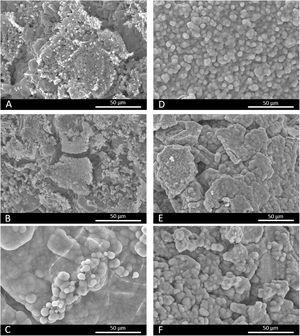 SEM images of scaffolds 3J (A-C) and 3S (D-F) after 3, 14 and 21 days of immersion in SBF.