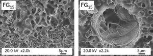 High magnification FESEM observations of the fracture surface of FG15 glass.