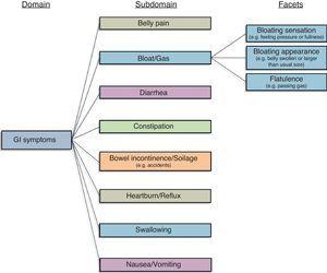 Conceptual model of GI symptoms underlying GI PROMIS item bank development.
