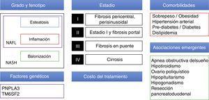 Elementos a tomar en cuenta para diseñar una estrategia terapéutica en NAFLD.