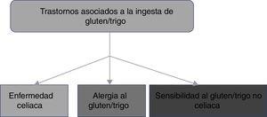 Representación esquemática de los trastornos asociados a la ingestión de gluten/trigo.