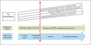 Inflamacion, disfunción endotelial y estado de procoagulante