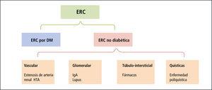 Clasificacion de las causas comunes de ERC (y ejemplos seleccionados)