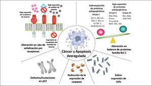 Mecanismos que llevan a la evasión de apoptosis y carcinogénesis
