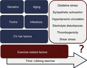 Factors potentially involved in the development of coronary artery disease in athletes. CV: cardiovascular.