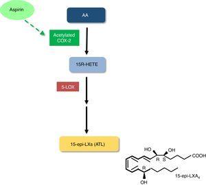 Biosynthesis of aspirin-triggered lipoxins. <span class=