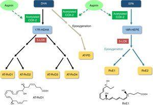 Biosynthesis of aspirin-triggered resolvins and protectin. <span class=