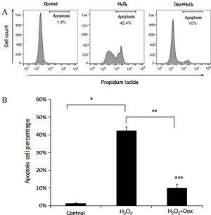 Dexmedetomidine suppresses H2O2-induced cardiomyocyte apoptosis. Apoptosis was detected using fluorescence-activated cell sorting (FACS) analysis. (A) Cardiomyocyte apoptosis was determined by analyzing annexin V and propidium iodide binding with FACS; (B) quantification of the apoptotic cardiomyocyte percentage. Statistical significance was determined using one-way analysis of variance (*p<0.05, H2O2 vs. control; **p<0.01, Dex+H2O2 vs. H2O2; ***p<0.001, Dex+H2O2 vs. control, n=10 per group). H2O2 group: cardiomyocytes induced by H2O2 without dexmedetomidine preconditioning; Dex+H2O2 group: cardiomyocytes induced by H2O2 with dexmedetomidine preconditioning. Dex: dexmedetomidine; H2O2: hydrogen peroxide.