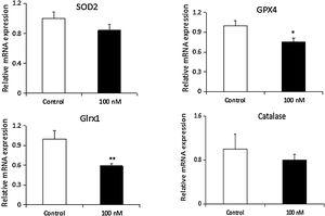 Dexmedetomidine suppresses mRNA expression of superoxide dismutase 2 (SOD2), glutathione peroxidase 4 (GPX4), glutaredoxin 1 (Grx1), and catalase in cardiomyocytes. mRNA expression of antioxidant enzymes was detected by real-time fluorescence quantitative polymerase chain reaction (RT-PCR) analysis. Relative gene expression levels were normalized to glyceraldehyde-3-phosphate dehydrogenase (GAPDH). Statistical significance was determined using one-way analysis of variance (*p<0.05, **p<0.01, 100 nM vs. control, n=10 per group). 100 nM group: cardiomyocytes treated with dexmedetomidine; H2O2: hydrogen peroxide.
