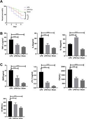 Curcumin improves myocardial damage induced by LPS in rats with sepsis. (A) 7-day survival curves of rats in each group; (B) expression levels of inflammatory factors TNF-α, IL-6 and IL-10 in serum of rats in each group; (C) expression levels of cardiac enzymes BNP, cTn, CK and CK-MB in serum of rats in each group. Note: *p<0.05, ****p<0.0001.