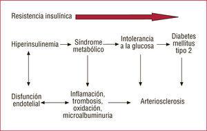La microalbuminuria se relaciona con la resistencia a la insulina y los componentes del síndrome metabólico.