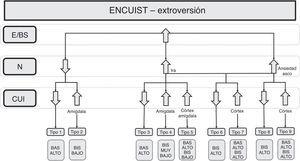 Árbol de decisión desde la variable extroversión. E/BS: extroversión/búsqueda de sensaciones; N: neuroticismo; CUI: insensibilidad emocional, impulsividad/agresividad.
