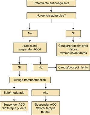 Recomendaciones para la retirada de los anticoagulantes. ACO: anticoagulantes orales. Adaptado de Vivas D et al1.