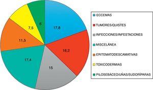 Grupos diagnósticos que engloban el 91% de toda la enfermedad atendida en el Servicio de Urgencias dermatológicas.