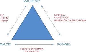 Interacción entre el metabolismo del magnesio, del calcio y del potasio.