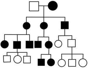 minusválido doblado de múltiples fines Genograma y árbol genealógico | Medicina de Familia. SEMERGEN