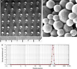 Image depicting AMB-fibrin microsphere. (A) A picture of fibrin beads bearing AMB loaded PLGA microspheres (AMB-fibrin microsphere), (B) scanning electron micrograph of AMB loaded PLGA microspheres, AMB loaded PLGA microspheres visualized by the nanophox particle size analyzer.