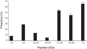 Frequency of Western blotting recognition of specific peptides (kDa) for human cysticercosis through IgG antibodies present in 73 serum samples from inhabitants of the municipality of Jataí, Goiás, Brazil (April to August 2012). *p<0.05, Fisher's exact test.
