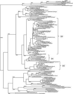 Phylogenetic tree of S/P gene fragment (590 bp) of 21 patients with active hepatitis B infection in Bento Gonçalves city, Rio Grande do Sul State, 2010. The sequences evaluated in this study are represented by the acronym BG (Bento Gonçalves) followed by the identification number of the sample. Sequences obtained on GenBank are demonstrated by the subgenotype information followed by the sequence accession number. The numbers at each node correspond to bootstrap values (greater than 60%) obtained with 1000 replicates. The scale bar indicates the genetic distances.