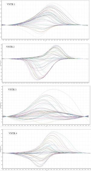 Different plots of 48 Listeria monocytogenes strains for 5 VNTR regions.