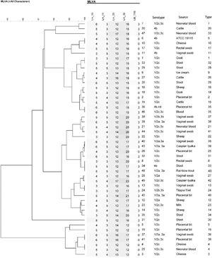 UPGMA dendrogram of MLVA-HRM results for the 48 L. monocytogenes isolates. The columns represent the serotype, source, and bacterial type.