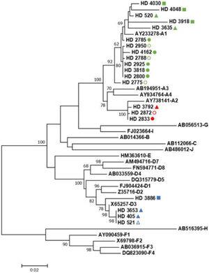 Maximum likelihood phylogenetic tree based on the GTR+G+I model for genotyping HBV strains found in CKD patients under hemodialysis. Sequences retrieved from CDK patients collected in the HU located in the city of Rio de Janeiro are represented with a circle whereas samples from HU units located in Niterói and Queimados are represented with a triangle and a square, respectively. Shapes in green, red, and blue, represent sequences from HBV/A1, A2, and D3, respectively. Filled and empty shapes represent sequences from HBsAg-positive individuals and OBI cases, respectively. HBV reference sequences are represented by their GenBank access number followed by genotype classification. Bootstrap values greater than 60% for the 1,000 replicates are represented in the nodes of the tree.