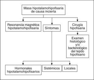 Algoritmo diagnóstico de las hipofisitis granulomatosas infecciosas.
