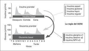 Selección de los preparados de insulina en las pautas basal-bolus para cubrir los requerimientos de insulina en situación de ayuno (basal) y en situación prandial (bolus).
