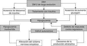 Fisiopatología de la hipoglucemia inadvertida. DM1: diabetes mellitus tipo 1; DM2: diabetes mellitus tipo 2.