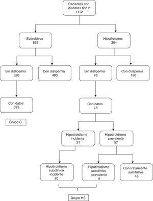 Diagrama indicativo de la extracción de la muestra de pacientes diabéticos eutiroideos que sirvieron como controles (grupo C), y de los pacientes diabéticos con hipotiroidismo incidente o prevalente no tratado (grupo HS).