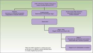Diagnostic-therapeutic algorithm for arteriovenous malformations (AVMs).