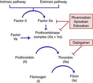 Direct Acting Oral Anticoagulants In Dermatologic Surgery Actas Dermo Sifiliograficas