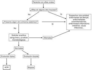 Diagnostic algorithm for the management of patients with aphthous ulcers. RAS indicates recurrent oral stomatitis.