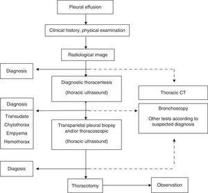 Pathophysiology Of Pleural Effusion In Flow Chart