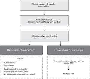 Practical management of patients with chronic cough.