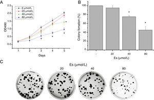 Esculetin treatment of LLC cells impaired its proliferation in liquid and semi-soft cultures. (A) Effect of esculetin treatment on LLC cell growth in liquid culture. MTT assay was performed in 96 wells plate. Mean±SD of 6 wells. (B) Effect of esculetin treatment on colony formation of LLC cells. Cells were seeded into soft agar in triplicate, and colonies were counted after 21–28 days of culturing. Mean±SD (3 wells) are expressed as percent variation relative to vehicle treated cells (control). *P<.05. (C) Representative pictures of colonies of LLC treated with esculetin.
