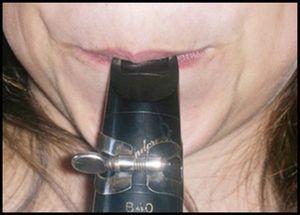 Bucal de um clarinete (frente).