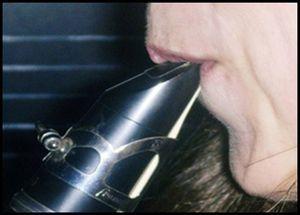 Bucal de um clarinete (perfil).