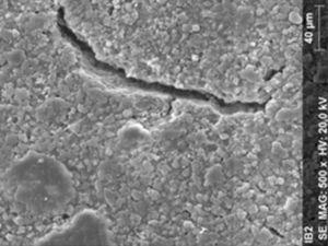 SEM micrograph of reinforced zinc oxide-eugenol cement specimen exposed to 10% carbamide peroxide (500×).