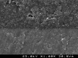 SEM photograph of resin–enamel interfaces with Transbond™ XT (G2) observed at ×1000.
