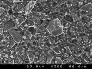 SEM photograph of the composite resin cement Concise™ observed at ×500.