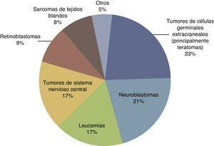 Distribución de los tipos de cáncer neonatal en el Reino Unido (de 1993 a 2007). Fuente: Vormoor y Chintagumpala8.