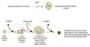 Epstein Barr Virus Infection Of Infants Implications Of Early Age Of Infection On Viral Control And Risk For Burkitt Lymphoma Boletin Medico Del Hospital Infantil De Mexico